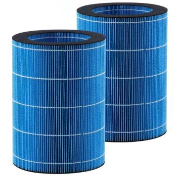Steam humidifier replacement filter, 2 pcs., for model BZT-234