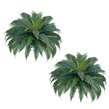 Artificial Boston Fern, 2-Pack, 43-47 Inch, Wall Decor, 50 Branches