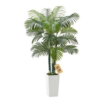 Artificial areca palm 183 cm with white tall pot, decorative plant