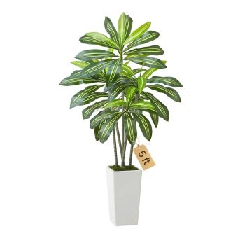 Artificial dracaena tree 1524 mm with white tall pot, for home and office decor