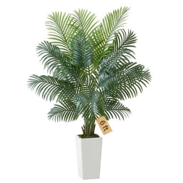 Artificial areca palm 1829 mm with white pot, tropical plant for home decor