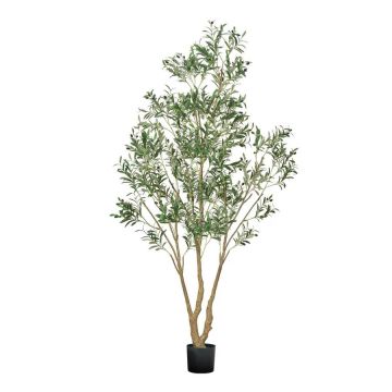 Sztuczne drzewko oliwne 240 cm w czarnej donicy, z naturalnym pniem, zielonymi liśćmi i owocami