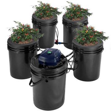 System hydroponiczny z recyrkulacją RDWC, 4 wiadra po 18,9 l każde