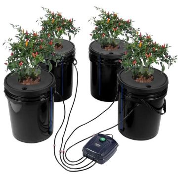 System hydroponiczny DWC, 4 wiadra, 5 galonów, z pompą powietrza