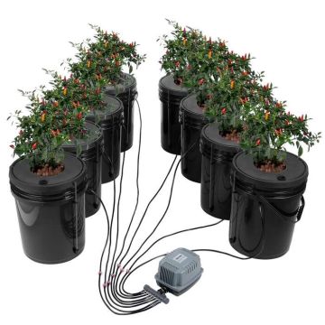 DWC Hydroponics System, Deep Water Culture, 5 Gallon, 8 Buckets, with Air Pump and Air Stones