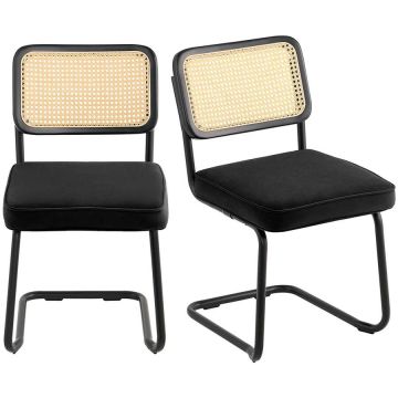 Rattan chair set of 2, black velvet seats, modern
