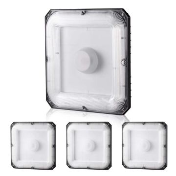 4 LED ceiling canopy lights, 80W, 5000K, IP65, 256x256 mm