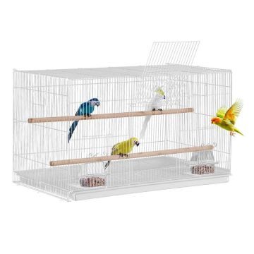 White metal bird cage for small parrots, 46 cm, with perches and feeding cups