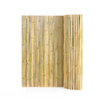 Natural bamboo fence, 1.2x2.4 m, eco-friendly privacy screen