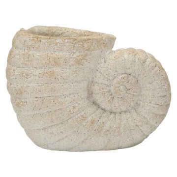 Wazon Muszla Piasek A, 33 × 23 × 19 cm