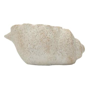 Wazon Muszla Piasek B, 35 × 18 × 23 cm