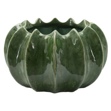 Cactus Basket Pot, Ø 22 × 13.5 cm