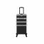 Cosmetic case on wheels, black