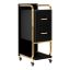 Hairdresser's assistant Gabbiano Solo, 2 drawers, 2 shelves