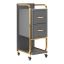 Hairdresser's assistant Gabbiano Solo, 2 drawers