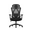 Ergonomiczny fotel biurowy OBN063B01, czarny
