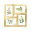 Photo frame 30.5x30.5cm., earring color