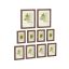 Picture frame set, 10 pcs, brown