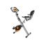Exercise bike fitness orange gray