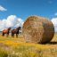 Hay bale net VEVOR WMDY25164, Knotless, 1.8 × 1.8 × 1.8 m