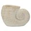 Wazon Muszla Piasek A, 33 × 23 × 19 cm
